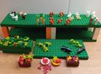 Lego eekhoorntjes konijntjes uilen kikkers schildpad enz, Ophalen of Verzenden, Zo goed als nieuw, Losse stenen, Lego