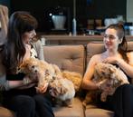 Exclusieve F1 Maltipoo Pups - De Perfecte Gezinsvriend!, Rabiës (hondsdolheid), Overige rassen, 8 tot 15 weken, Geslacht onbekend