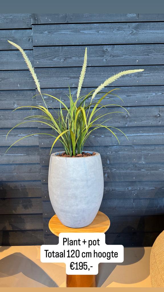 Potten bloembak plantenbak pot polyester pottenshop Bloempot, Huis en Inrichting, Kamerplanten, Overige soorten, In pot, Minder dan 100 cm