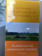 H. Morshuis - Oldenzaal en Noordoost-Twente, Boeken, Geschiedenis | Stad en Regio, 20e eeuw of later, H. Morshuis, Verzenden, Zo goed als nieuw