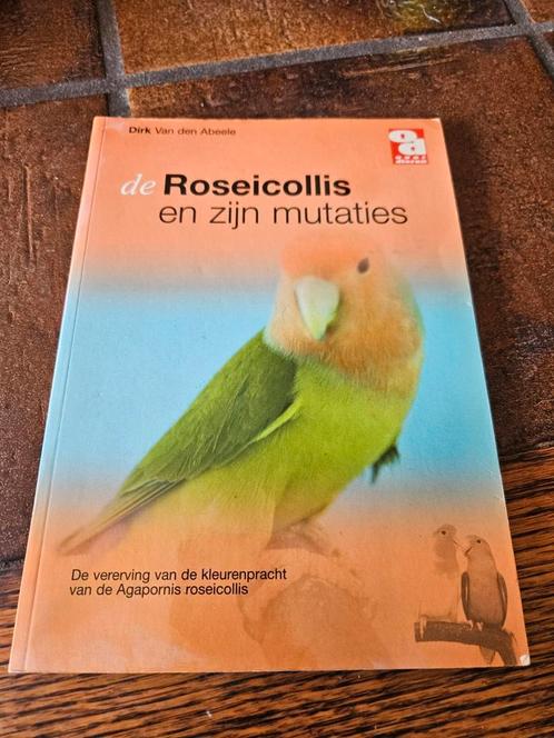 Diederik van den Abeele - De roseicollis en zijn mutaties, Boeken, Dieren en Huisdieren, Zo goed als nieuw, Ophalen of Verzenden