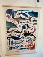 Dieren Poster 100 x 150 met ophangsysteem, Oorspronkelijke maker, Ophalen of Verzenden, Zo goed als nieuw, Foto of Poster