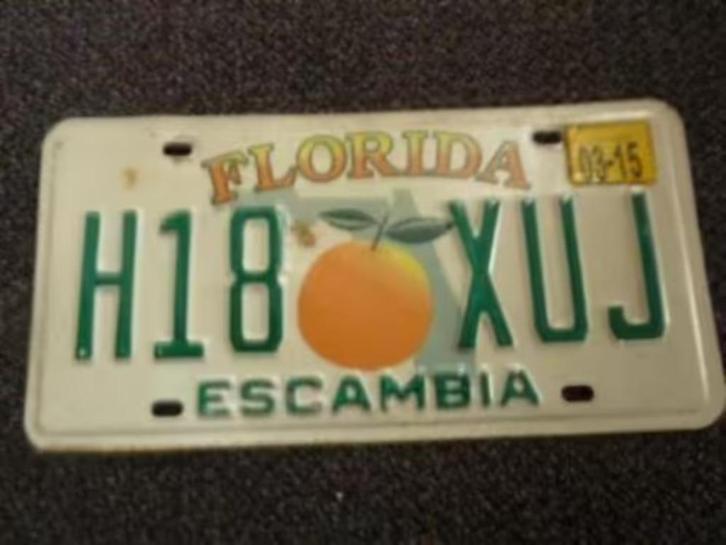 Kentekenplaat licenseplate Florida Escambia USA, Verzamelen, Automerken, Motoren en Formule 1, Gebruikt, Auto's, Verzenden