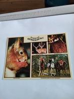 GROETEN UIT HOENDERLOO. 1983, Ophalen of Verzenden, 1980 tot heden