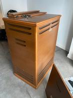 Leslie 251 speaker, Muziek en Instrumenten, Orgels, Ophalen, Gebruikt, Hammondorgel