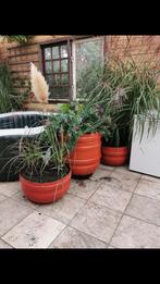 Bloembakken gemaakt van ton in terracotta kleur, Ophalen of Verzenden, Overige soorten, Volle zon