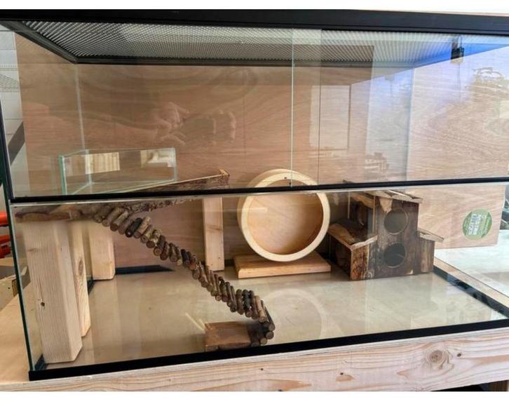 Complete Knaagdier kooi incl. toebehoren, Dieren en Toebehoren, Knaagdieren en Konijnen | Hokken en Kooien, Gebruikt, Kooi, Minder dan 60 cm