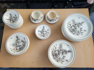 Pinewood servies beschikbaar voor biedingen