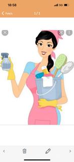 Schoonmakster aangeboden, Vanaf 10 jaar, Overige vormen