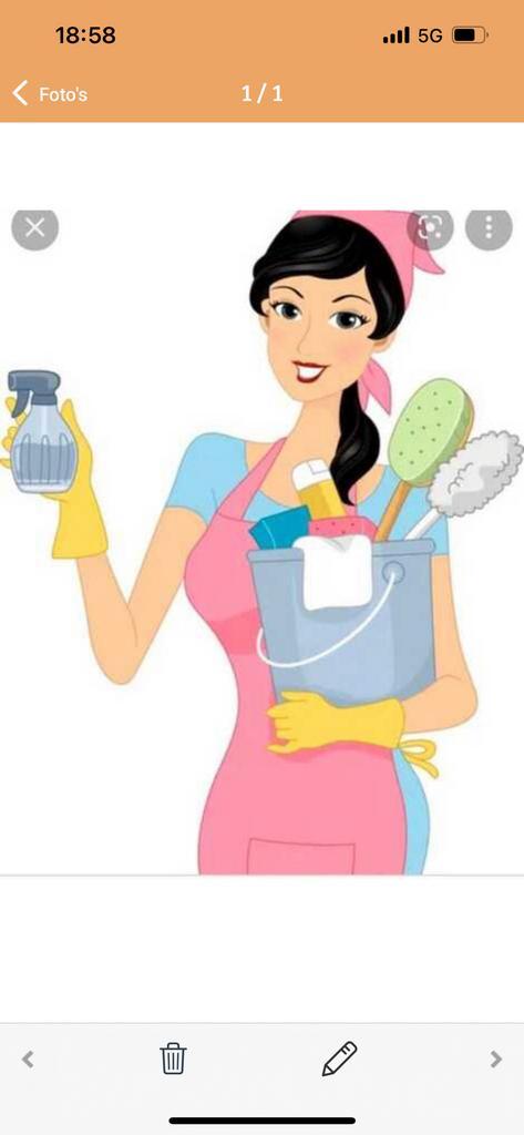 Schoonmakster aangeboden, Vacatures, Vacatures | Schoonmaak en Facilitaire diensten, Vanaf 10 jaar, Overige vormen