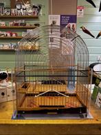 Te Koop Diverse Surinaamse Kooien, Dieren en Toebehoren, Vogels | Overige Vogels, Meerdere dieren, Tropenvogel