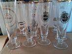 Warsteiner Tulp Bierglazen - Set van 10, Verzamelen, Ophalen of Verzenden, Gebruikt