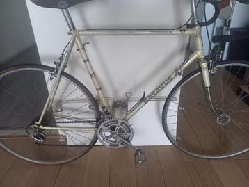 Batavus Criterium Vintage Racefiets beschikbaar voor biedingen