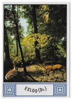 Exloo gelopen Ansichtkaart ( B2709 ), Ophalen of Verzenden, 1980 tot heden, Gelopen