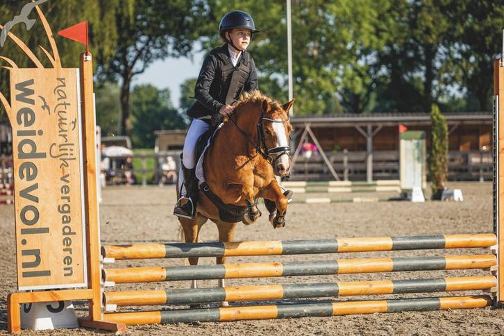 A pony te koop!, Dieren en Toebehoren, Pony's, Merrie, L, A pony (tot 1.17m), 3 tot 6 jaar, Gechipt, Ontwormd, Ingeënt