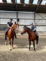 Betrouwbare verzorgers/bijrijders aangeboden!, Ophalen of Verzenden, Zo goed als nieuw