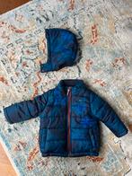 Tommy Hilfiger Winterjas 12 maanden - Blauw, Ophalen of Verzenden, Jasje, Jongetje, Tommy Hilfiger