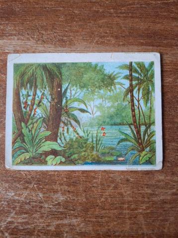 Oude plaatje Atjeh - Coöperatie De Eenheid beschikbaar voor biedingen