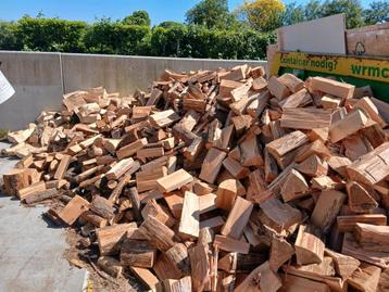 Te koop Gekloofd douglas haardhout  beschikbaar voor biedingen