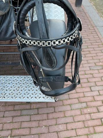 Men hoofdstel beschikbaar voor biedingen