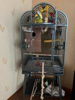 Montana Havana (nieuwste model) zgan, Dieren en Toebehoren, Ophalen, Zo goed als nieuw, Metaal, Vogelkooi