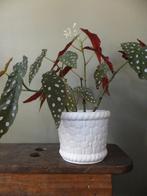 oude vintage gevlochten bloempot gelder collectie Ø18 groot, Ophalen