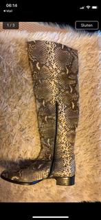 Dyva, over de knielaarzen, maat 40, Kleding | Dames, Schoenen, Hoge laarzen, Beige, Ophalen of Verzenden, Zo goed als nieuw
