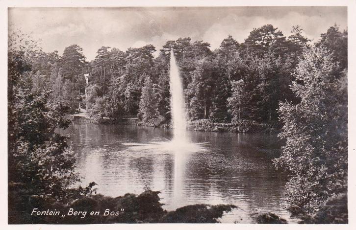 03225 Apeldoorn - Fontein Berg en Bos, Verzamelen, Ansichtkaarten | Nederland, Ongelopen, Gelderland, 1940 tot 1960, Verzenden