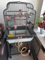 Vogelkooi voor grasparkiet en valkparkiet, Ophalen, Zo goed als nieuw, Kooi-accessoires