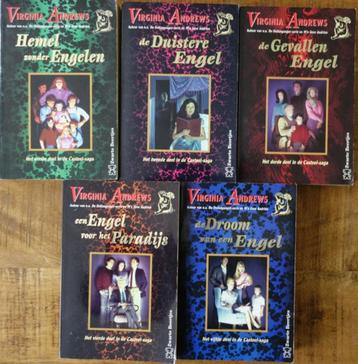 Complete Casteel-sage (5 delen) van Virginia Andrews beschikbaar voor biedingen