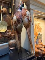 Fazanten decoratie, Antiek en Kunst, Ophalen