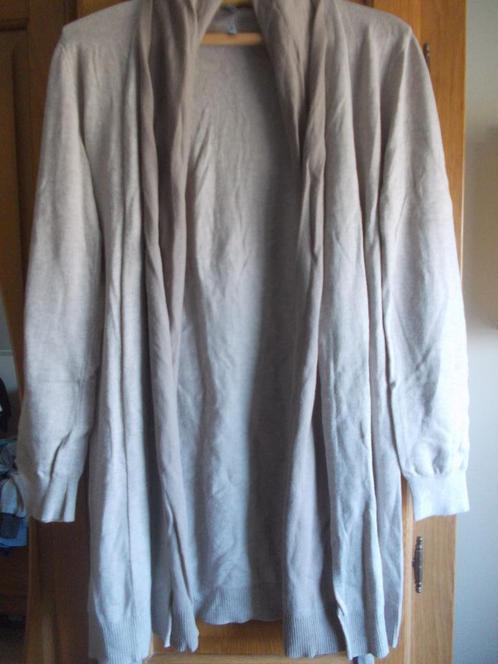 Lichtbruin vest van Cane&Cane in maat M., Kleding | Dames, Truien en Vesten, Maat 38/40 (M), Bruin, Ophalen