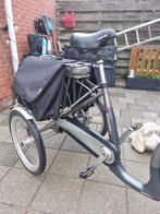 Stella Nantes 3-wieler fiets, Fietsen en Brommers, Fietsen | Driewielfietsen, Ophalen, Zo goed als nieuw