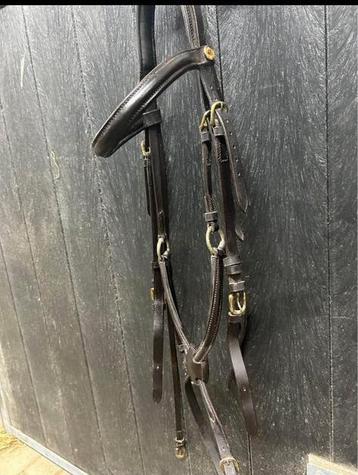 HOOFDSTEL BRUIN beschikbaar voor biedingen