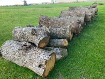 Eiken haardhout Ca. 22 k beschikbaar voor biedingen