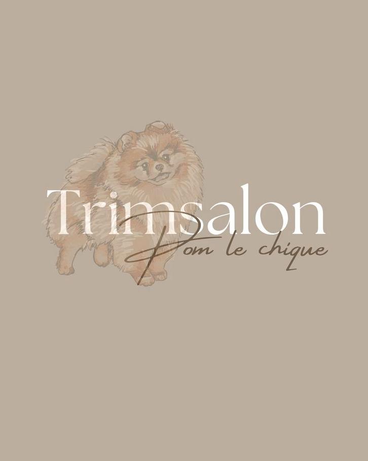 Trimsalon, Diensten en Vakmensen, Dieren | Honden | Verzorging, Oppas en Les