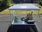 Aquarium Superfish / 60x30x40 / LED verlichting - compleet, Dieren en Toebehoren, Vissen | Aquaria en Toebehoren, Ophalen, Zo goed als nieuw