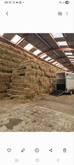 Hooi 1e snede natuurhooi., Zakelijke goederen, Agrarisch | Veevoer, Ophalen of Verzenden