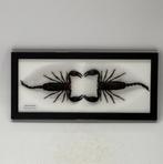 Opgezette schorpioenen in lijst 33x15 cm, Ophalen of Verzenden, Insect, Opgezet dier
