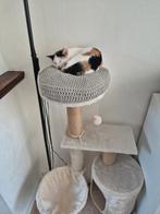 Kitty Kussen, Ophalen of Verzenden