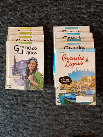 Lesboeken Frans Grandes Lignes (vmbo, havo) beschikbaar voor biedingen