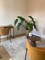Praktijk ruimte te huur in Haarlem, Huizen en Kamers, Kamers te huur