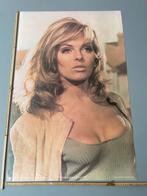 Vintage poster “Julie Ege”, Ophalen, Zo goed als nieuw, Rechthoekig Staand, Film en Tv