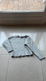 Mooie zgan trui Isabel Marant, Isabel Marant, Ophalen of Verzenden, Zo goed als nieuw, Maat 36 (S)
