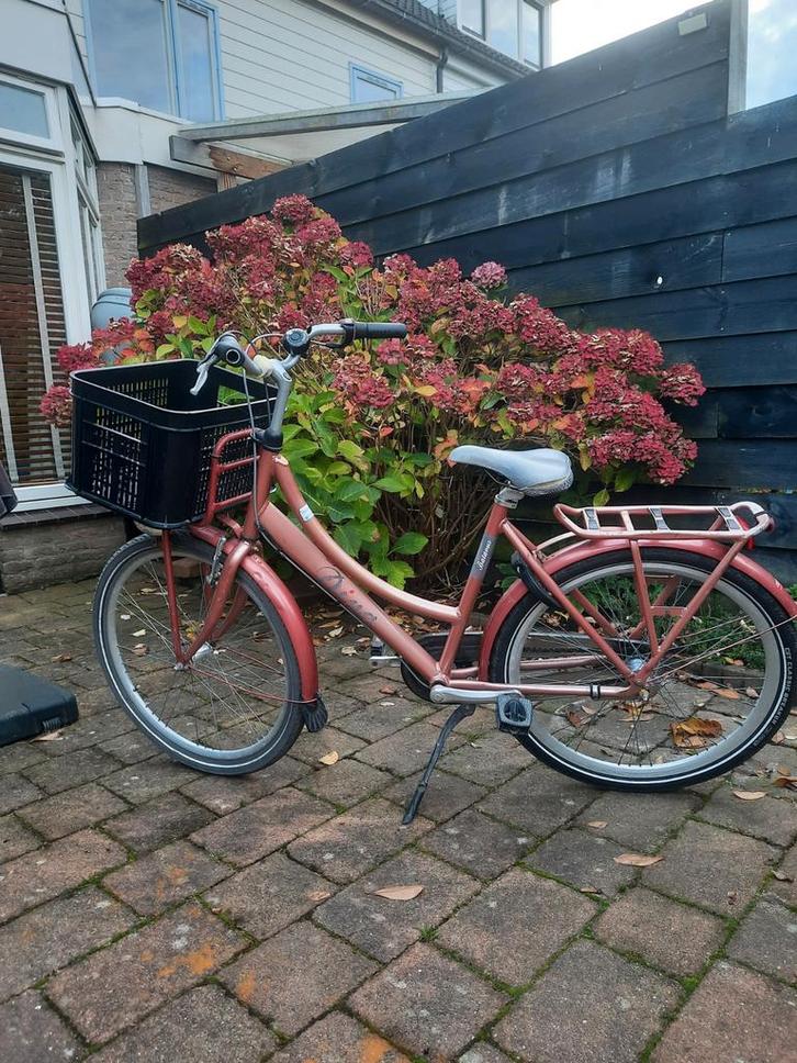 Batavus Diva Damesfiets 26 inch, Fietsen en Brommers, Fietsen | Dames | Damesfietsen, Gebruikt, Batavus, (Extra) lage instap, Versnellingen