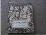 Zoologia The art of Stan Manoukian, Stan Manoukian, Ophalen of Verzenden, Zo goed als nieuw, Schilder- en Tekenkunst