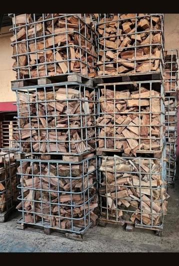 Haardhout beuk eik es beschikbaar voor biedingen