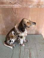 Vintage beeldje hond / springer spaniel. Porselein. Gemerkt., Ophalen, Gebruikt, Dier