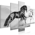 964 Zwart Wit Paarden 5 Luik Schilderij 200x100cm Nieuw, Nieuw, 125 cm of meer, Ophalen of Verzenden, Schilderij