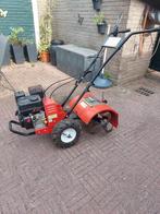 Kibani  tuinfrees, Tuin en Terras, Hand-tuingereedschap, Ophalen, Zo goed als nieuw, Overige soorten
